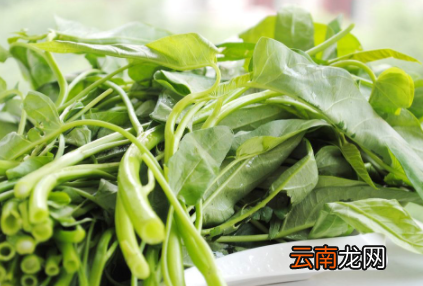 空心菜为什么不能切-空心菜要不要把菜叶摘掉