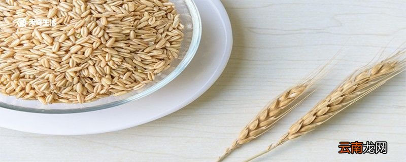 馓子是哪里的特产 馓子简介