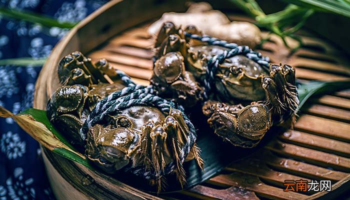 活螃蟹怎么保存过夜 螃蟹怎么保存