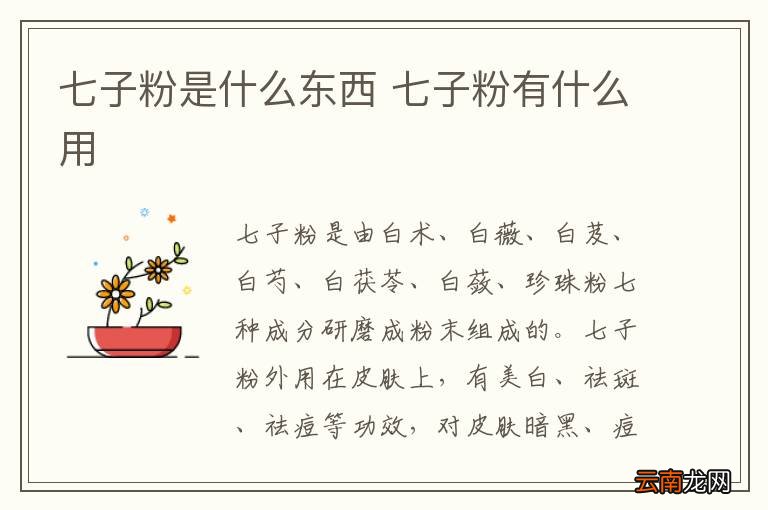 七子粉是什么东西 七子粉有什么用