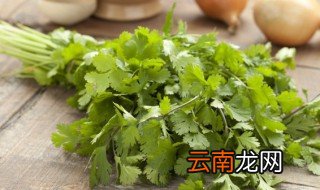 什么地方适合种植香菜 什么地方适合种植香菜苗