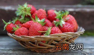 草莓家庭的种植方法 草莓家庭种植方法