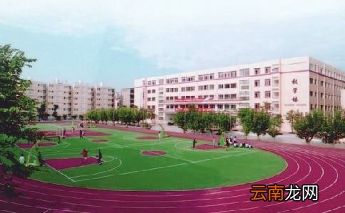 书法进校园活动总结9篇