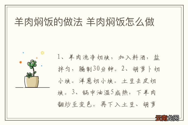 羊肉焖饭的做法 羊肉焖饭怎么做