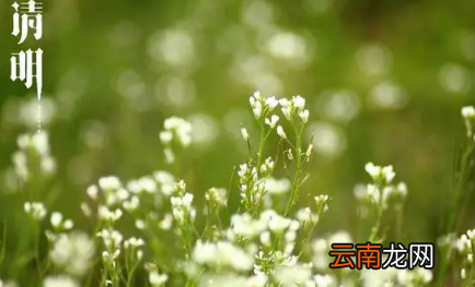 2022年清明节是冷是热-清明节天气怎么样