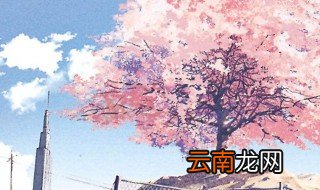 一句话打动人心短句 触动人心的说说