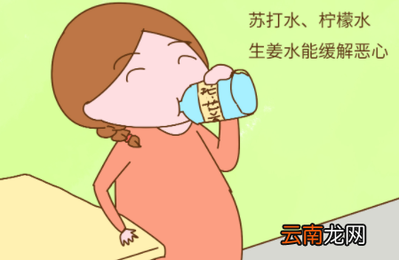 孕妇吐完吃点什么胃能舒服-怀孕早期止吐最有效方法