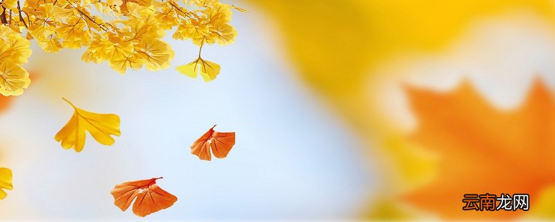 立秋节气的含义是什么意思 立秋后还热不热了