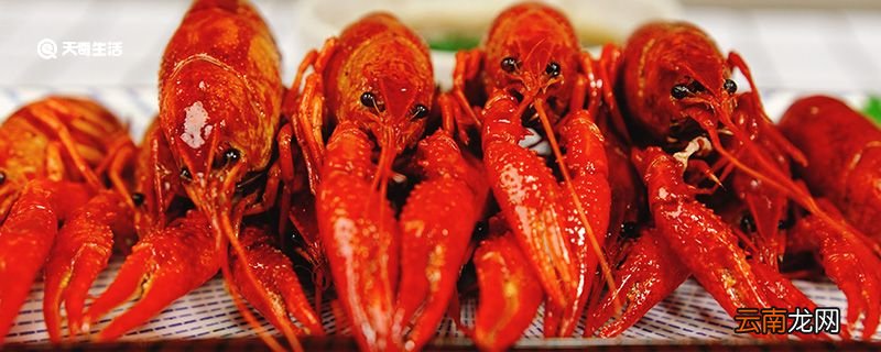 小龙虾怎么来的中国 小龙虾何时传入中国