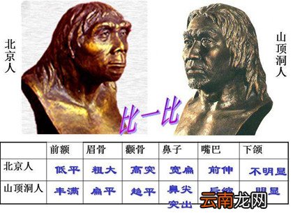 山顶洞人和北京人有什么区别 山顶洞人和北京人有什么相同之处