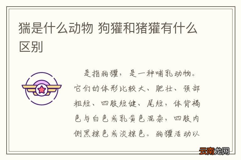 猯是什么动物 狗獾和猪獾有什么区别