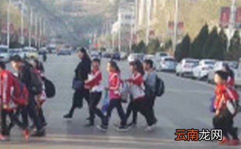 【精华】小学生学习计划三篇