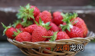 草莓什么季节栽种合适 草莓适合什么季节播种
