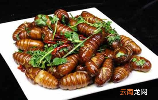 孕妇能吃蚕蛹吗 吃多了心脏血管有负担