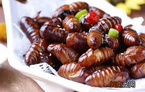 孕妇能吃蚕蛹吗 吃多了心脏血管有负担