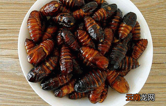 孕妇能吃蚕蛹吗 吃多了心脏血管有负担