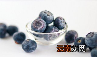 蓝莓适合什么季节播种，蓝莓适合在什么季节种