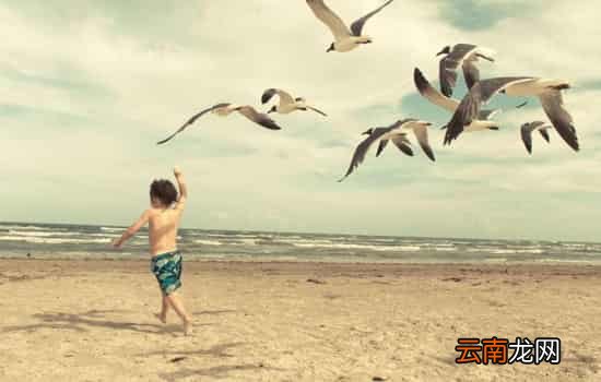 小孩子怎么排铅 弄清楚铅的来源很重要