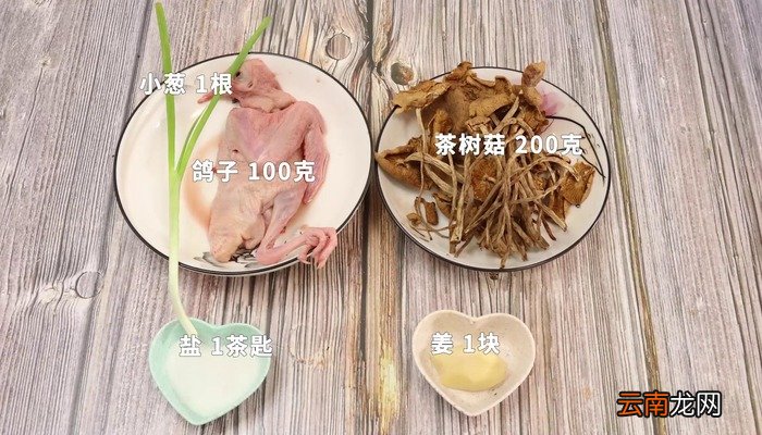 茶树菇炖鸽子怎么做 茶树菇炖鸽子怎么做好吃