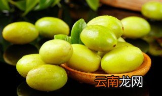 橄榄什么季节适合种植和管理 橄榄什么季节适合种植