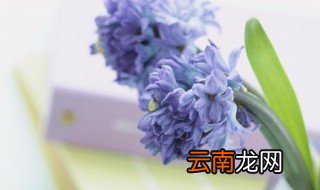 七夕问候语 七夕祝福语简短