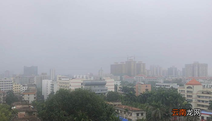 全球变暖导致的后果 全球变暖的人为因素