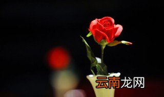七夕暖心的话 七夕温暖情话