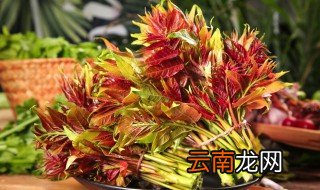椿树适合什么季节播种,椿树什么时候栽种最合适