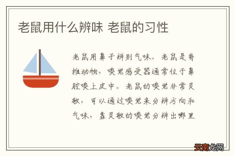 老鼠用什么辨味 老鼠的习性