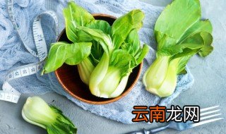 油菜适合什么时候种植 什么季节适合种植油菜