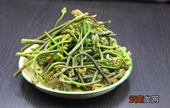 孕妇可以吃蕨菜吗 适量食用蕨菜好处多
