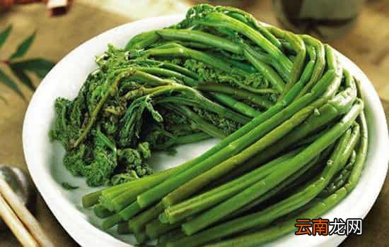 孕妇可以吃蕨菜吗 适量食用蕨菜好处多