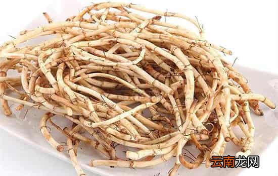 孕妇可以吃鱼腥草吗 适量食用大有好处