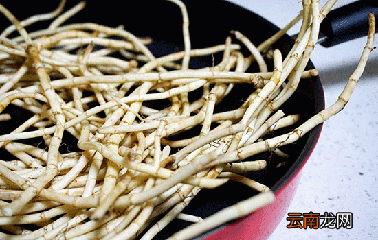孕妇可以吃鱼腥草吗 适量食用大有好处