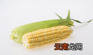 爆米花什么季节好卖 爆米花适合什么季节种植