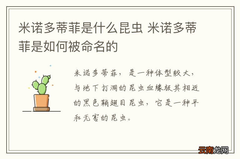 米诺多蒂菲是什么昆虫 米诺多蒂菲是如何被命名的