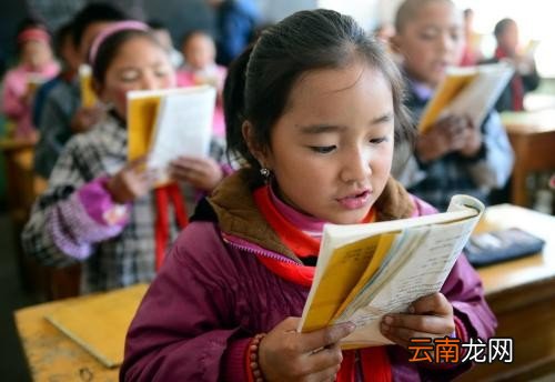 学生评语简短,优美