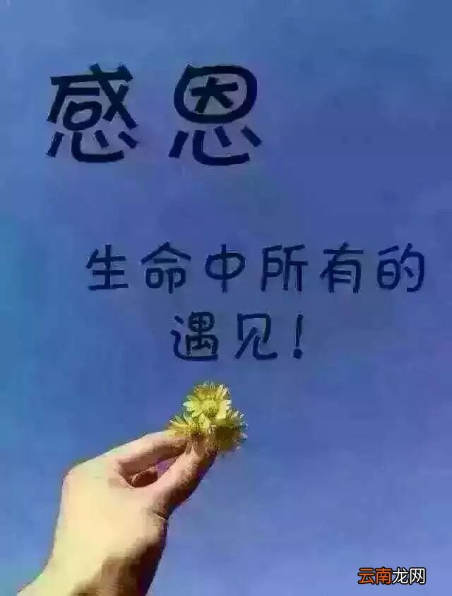 关于感恩遇见的句子