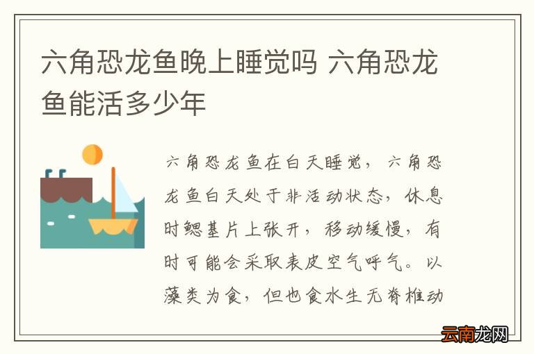 六角恐龙鱼晚上睡觉吗 六角恐龙鱼能活多少年