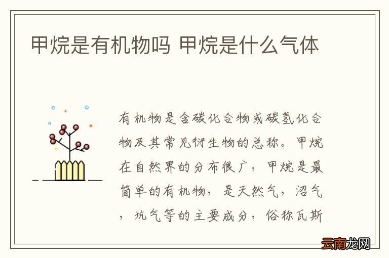 甲烷是有机物吗 甲烷是什么气体