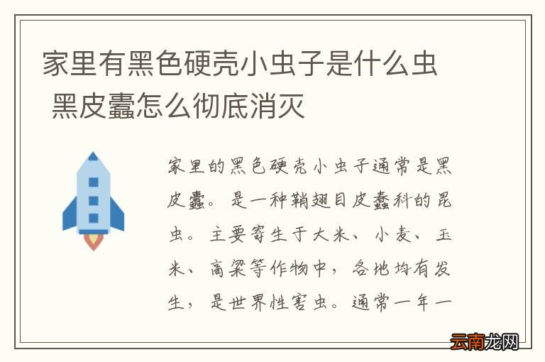 家里有黑色硬壳小虫子是什么虫 黑皮蠹怎么彻底消灭