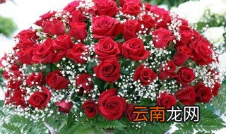 玫瑰花包装方法 分别都有什么包装的办法
