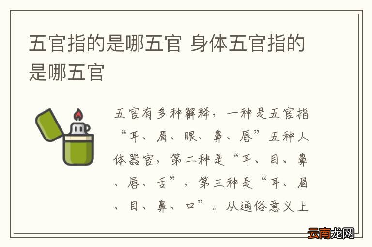 五官指的是哪五官 身体五官指的是哪五官
