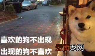 单身狗七夕发说说 单身狗七夕说说如何发