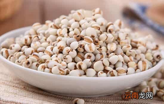 孕妇能吃薏米吗 孕早期绝对不能吃薏米