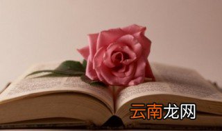 超甜表白文案 情人节你需要一个超甜的文案来告白