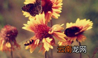 美好的一天正能量句子 都有哪些呢