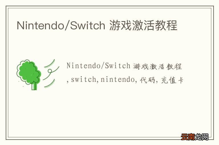 Nintendo/Switch 游戏激活教程