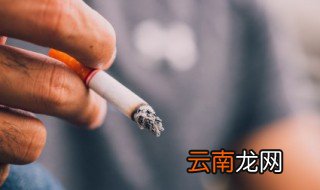关于禁烟的优美句子 关于禁烟的优美经典句子