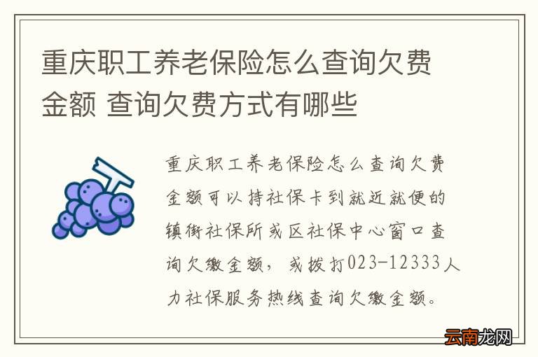 重庆职工养老保险怎么查询欠费金额 查询欠费方式有哪些